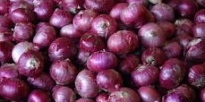 Fresh Red Onion