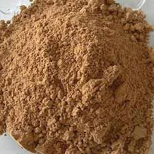 Papaya Powder