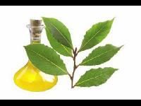 Bay Leaf Oil