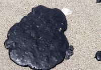Coal Tar