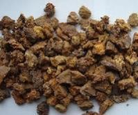 Dead Burnt Magnesite