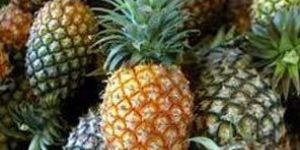 Fresh Pineapple