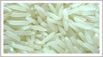 Basmati Rice