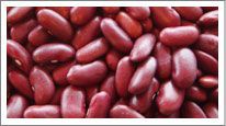 Red Kidney Beans