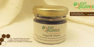 Organic Honey