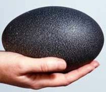 Emu Bird Egg
