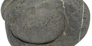 Chandra Shiva Shaligram Shila Saligram Sila