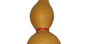 Natural Feng Shui Wu Lou (Wu Lu) Bottle Gourd Charm Amulet - A4428