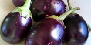 Fresh Brinjal