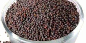 Black Mustard Seeds
