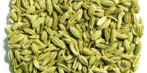 Fennel Seeds