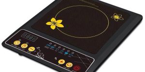 Induction Cooker