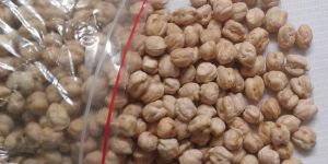 Kabuli Chickpeas