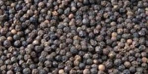 Black Pepper