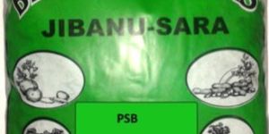 Phosphorus Biofertilizer