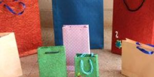 Shopping Paper Bags