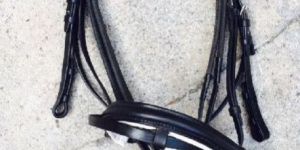 BR-001 Horse Bridle