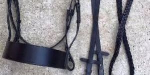 BR-002 Horse Bridle