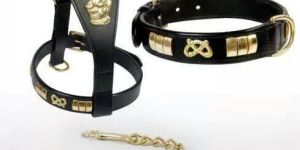 Dog Collars