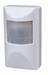 Motion Detectors