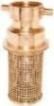 Foot Valve Strainer