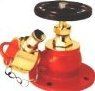 Hydrant Valve
