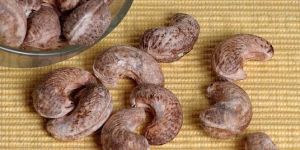 Cashew Nut