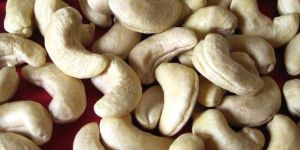 Cashew Nuts