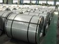 Stainless Steel Coils