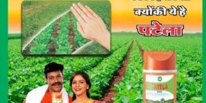 Cotton Bag, Canvas Bag, Rexine Bags