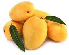 Fresh  Mango