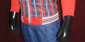 Classey Red Check