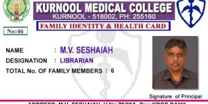 Pre-Printed College ID Cards