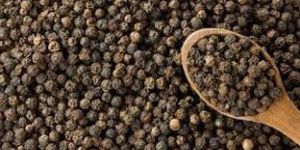 Black Pepper Seeds