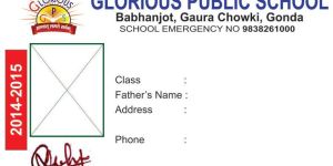 Company ID Cards