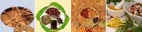 Herbal Raw Materials