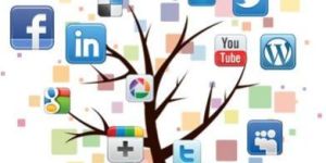 Social Media Optimization Services