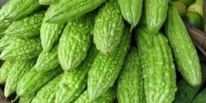 Fresh Bitter Gourd