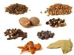 Indian Spices