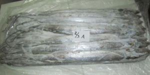 Frozen Ribbon Fish