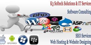 Information Technology Consulting Services