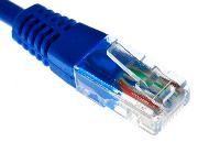 Network Cable