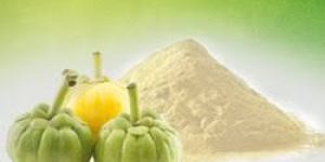 Garcinia Cambogia Extract Powder