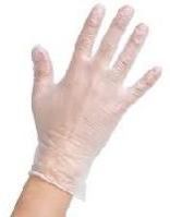 Powder Free Vinyl Gloves