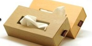 Rigid Tissue Boxes