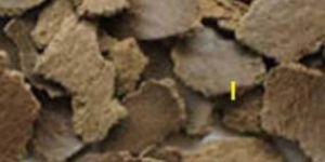 Shea Nuts De Oiled Cake