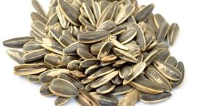Sunflower Seeds