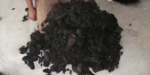 Combo Human Waste Human Hair