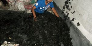 Waste Human Hair