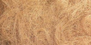 Coir Fiber
